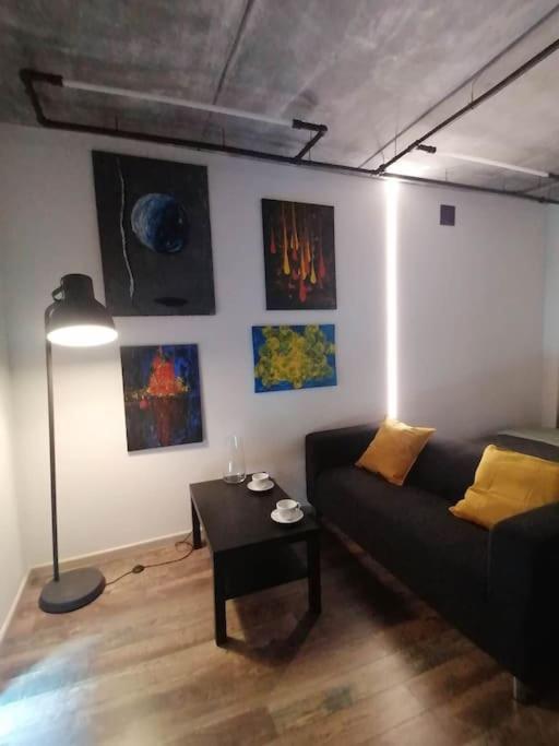 Erdvi Studija Spacious Studio Apartment Self Check In VNO Dış mekan fotoğraf